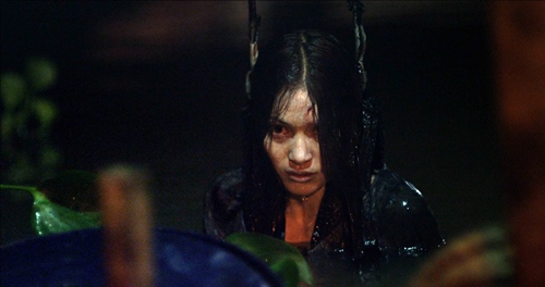 lấy đ&agrave;n b&agrave; đi&ecirc;n